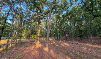 Old Moyers Road, Antlers, OK 74523