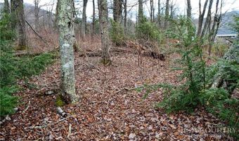 Pasture Lane lot 8, Banner Elk, NC 28604