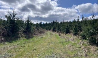 Northrup Creek Rd, Birkenfeld, OR 97016