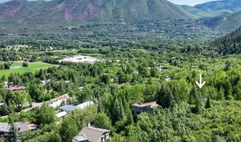 205 LARKSPUR Ln, Aspen, CO 81611