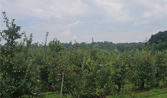 3120 Densmore Rd, Albion, NY 14411