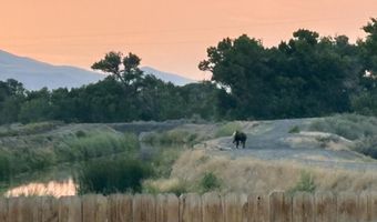 529 Saddle Horn Way, Fernley, NV 89408