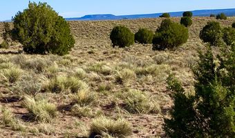 River Meadows Ranch Unit 3 Lot 204, Concho, AZ 85924