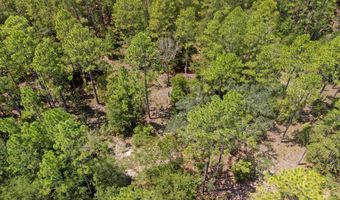 TBD 65th St, Bell, FL 32619