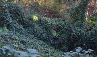 0 Lords Way, Andrews, NC 28901