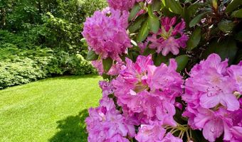 281 Clyde Rd, Bangor, ME 04401