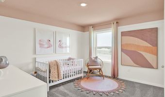 5220 Flameleaf St, Apopka, FL 32712