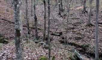 BLACKJACK ROAD lot 0, Argo, AL 35173