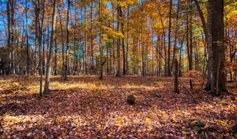 54 E Ridge Rd, Allardt, TN 38504