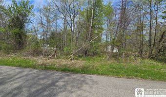 V/L Monroe Avenue, Angola, NY 14006