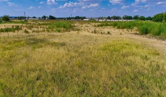 S Of 1102 E Wood Avenue, Carlsbad, NM 88220