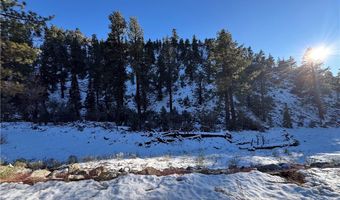 12 Barton Flats Rd, Angelus Oaks, CA 92305