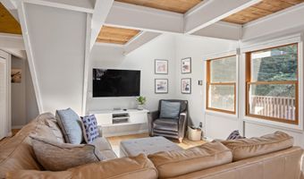 217 Longhorn Ln, Basalt, CO 81621