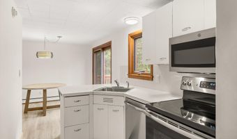 1501 Maroon Creek Rd #2, Aspen, CO 81611