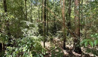 Linda St, Andalusia, AL 36421