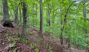 Grandfather Watch Lane, Banner Elk, NC 28604
