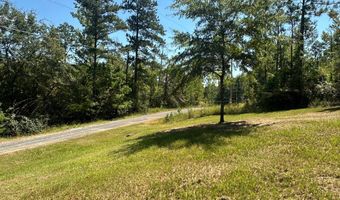 189 Presley Place Dr, Abbeville, AL 36310