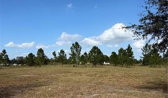 2510 W Butkus Rd, Avon Park, FL 33825