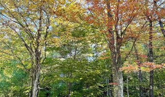 19 Barbara Dr, Alton, NH 03810