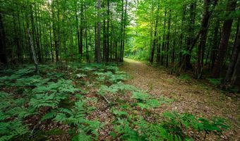 404 Barry Dr, Alger, MI 48610