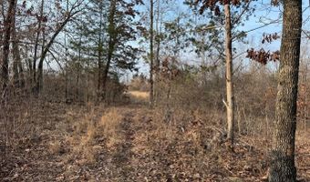 Arnhart Street, Ash Flat, AR 72513