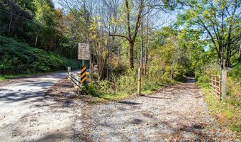 10 Dodd Rd, Barnardsville, NC 28709