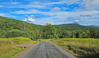 Shaver Hollow, Andes, NY 13731