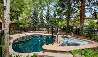 507 W Main St C-201, Aspen, CO 81611