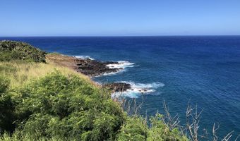 56-2951 PUAKEA BAY Dr, Hawi, HI 96719
