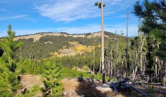 Tbd Smokey Mountain Drive, Anaconda, MT 59711