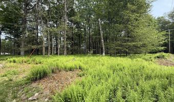Dorshimer Ave, Blakeslee, PA 18610