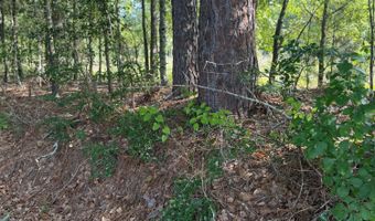 0 Huckleberry Finn Rd, Batesburg Leesville, SC 29006