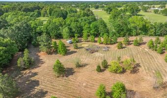 Hwy 69, Alba, TX 75410