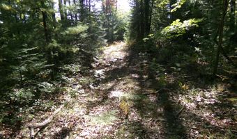 V/L 30AC Lake Winyah Road, Alpena, MI 49707