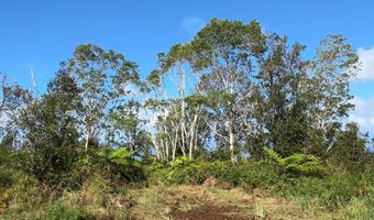 75-1306 KEOPU MAUKA Dr, Holualoa, HI 96725