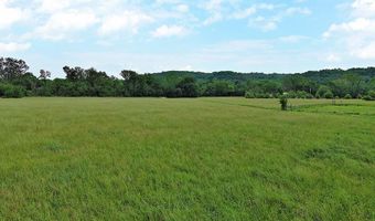 91 Kay Ln, Anderson, MO 64831