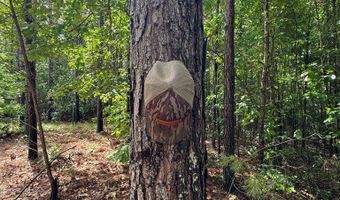 HWY 9, Banner, MS 38913