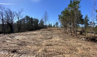 0 Adams Road - Lots 14 & 15 Lots, Bankston, AL 35542