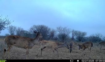 CR 119 lot 0, Alice, TX 78332