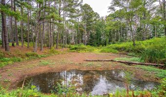 Tract 1 Highway 99, Anderson, AL 35610