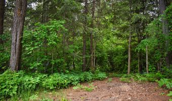 392 Shingle Mill Loop, Bonners Ferry, ID 83805