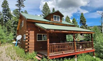 1407 Clarke Mountain Ln, Antonito, CO 81120