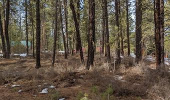 Tbd View Drive 14 & 15, Centerville, ID 83631