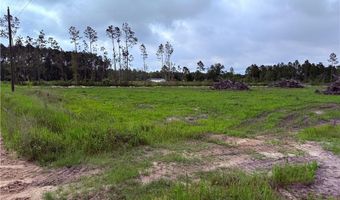 9 219 Ac Rhine Alma GA Rd, Alma, GA 31510