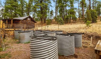 28 County Rd 2310, Alpine, AZ 85920