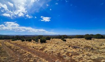 Show Low Pines Unit 3 lot 468, Concho, AZ 85924