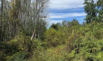 0 Lake Mayers Rd, Baxley, GA 31513