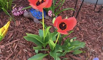 2137 S 5th Ave, Alpena, MI 49707