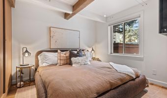 1024 E Cooper Ave 1, Aspen, CO 81611