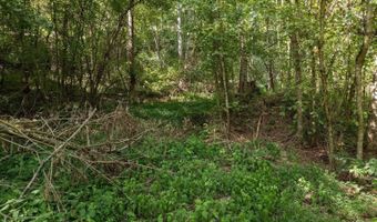 N Fork River Road, Abingdon, VA 24210